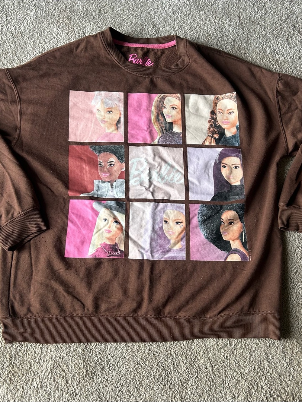 Barbie Brown Crewneck Sweatshirt with Pink and Purple Graphic Panels